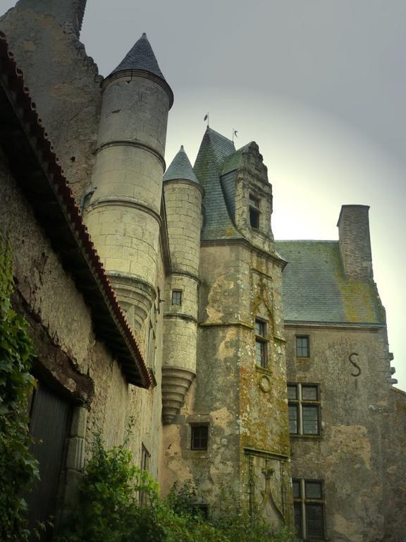 فندق La Chapelle-Gaudinفي  Chateau De Vermette الغرفة الصورة