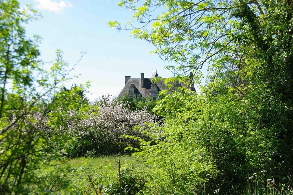 فندق La Chapelle-Gaudinفي  Chateau De Vermette المظهر الخارجي الصورة
